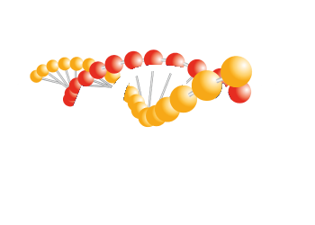 Certificacion PACALL